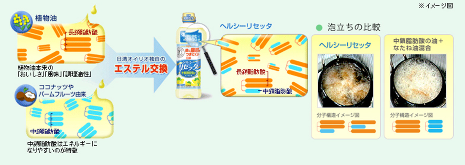 調理適性と栄養効果を併せ持つ食用油の開発 ヘルシーリセッタ 独自研究 研究 技術開発 植物のチカラ 日清オイリオ