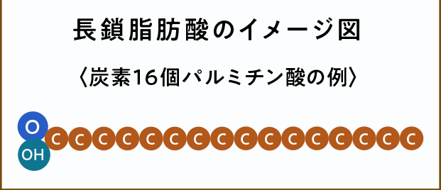 長鎖脂肪酸のイメージ図〈炭素16個パルミチン酸の例〉